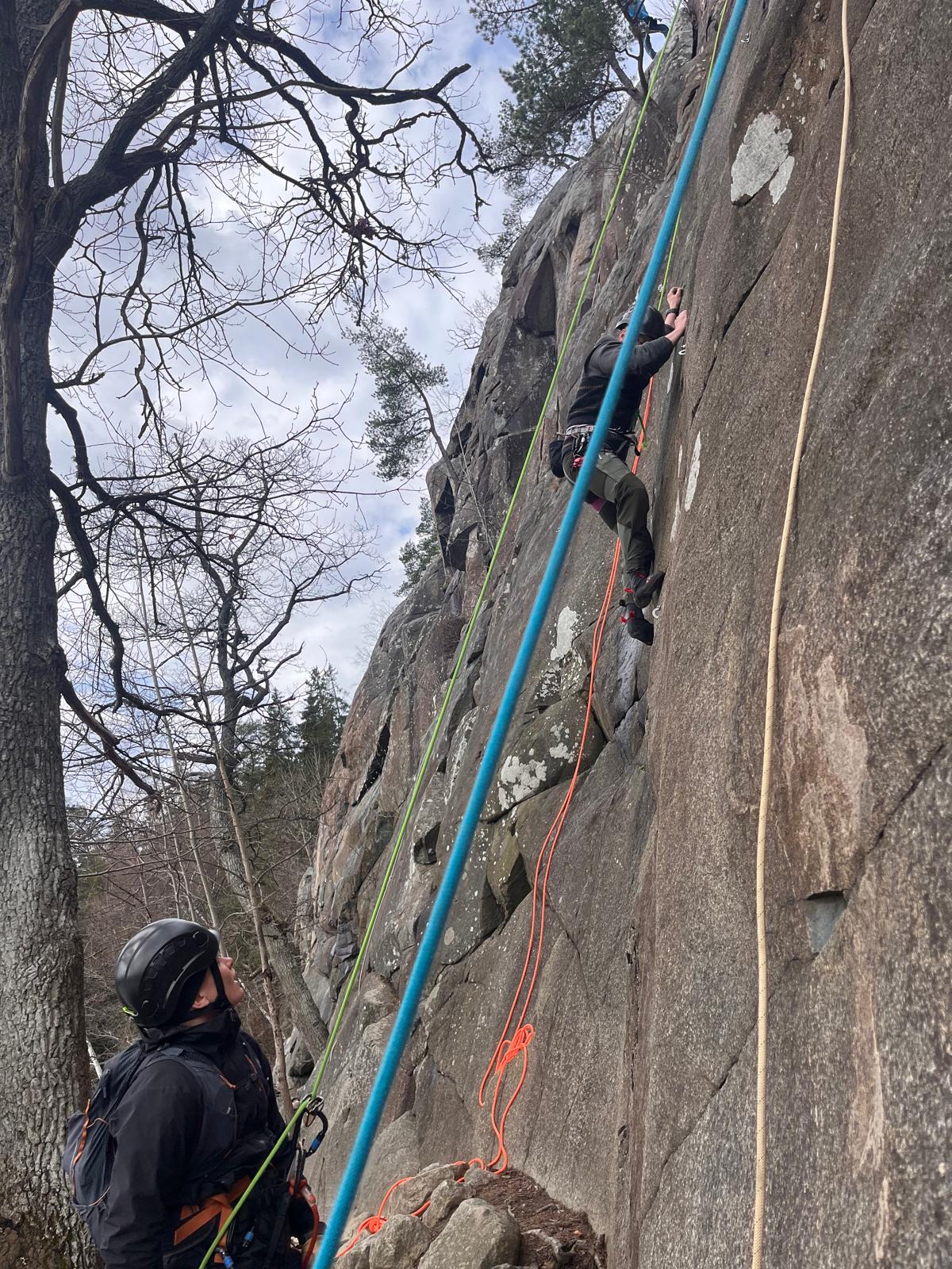 WhatsApp Bild 2024-08-28 kl. 09.14.29_e28d3767